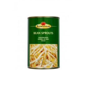 Canned soybean sprouts 425g