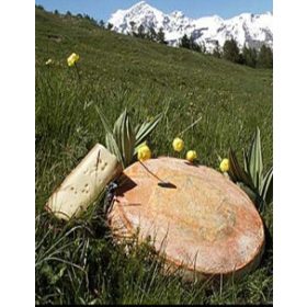 ZARPELLON-Fontina D.O.P. Sajt