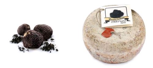 Z.PECORINO SZARVASGOMBÁS