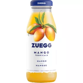 MANGO NECTAR 24x200ml