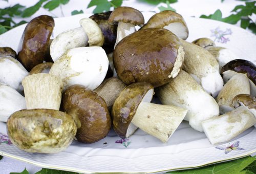 FAGY. VARGÁNYA EGÉSZ EXTRA 1kg IMPORT