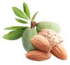 ALMOND 100% PURE 1,1kg (41652) mandula 100% paszta