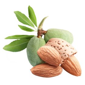 ALMOND 100% PURE 1,1kg (41652) mandula 100% paszta