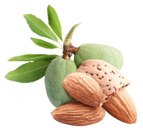 ALMOND 100% PURE 1,1kg (41652) mandula 100% paszta