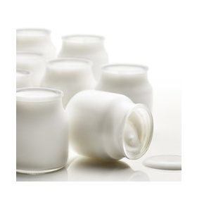 YOGURT WORLD 30 1,2kg (41724) joghurt 30%, hidegen