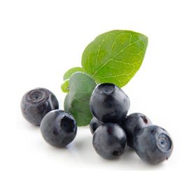   BLUEBERRY COMPLETE LINE 1,25kg (41168) kék áfonya ízű por, hidegen