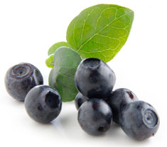 BLUEBERRY COMPLETE LINE 1,25kg (41168) kék áfonya ízű por, hidegen