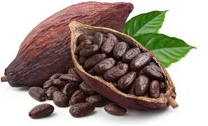 CHOCO BLACK DUST 3kg (42090) csokoládé paszta