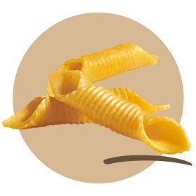 FAGY. GARGANELLI ROMAGNOLI 3kg